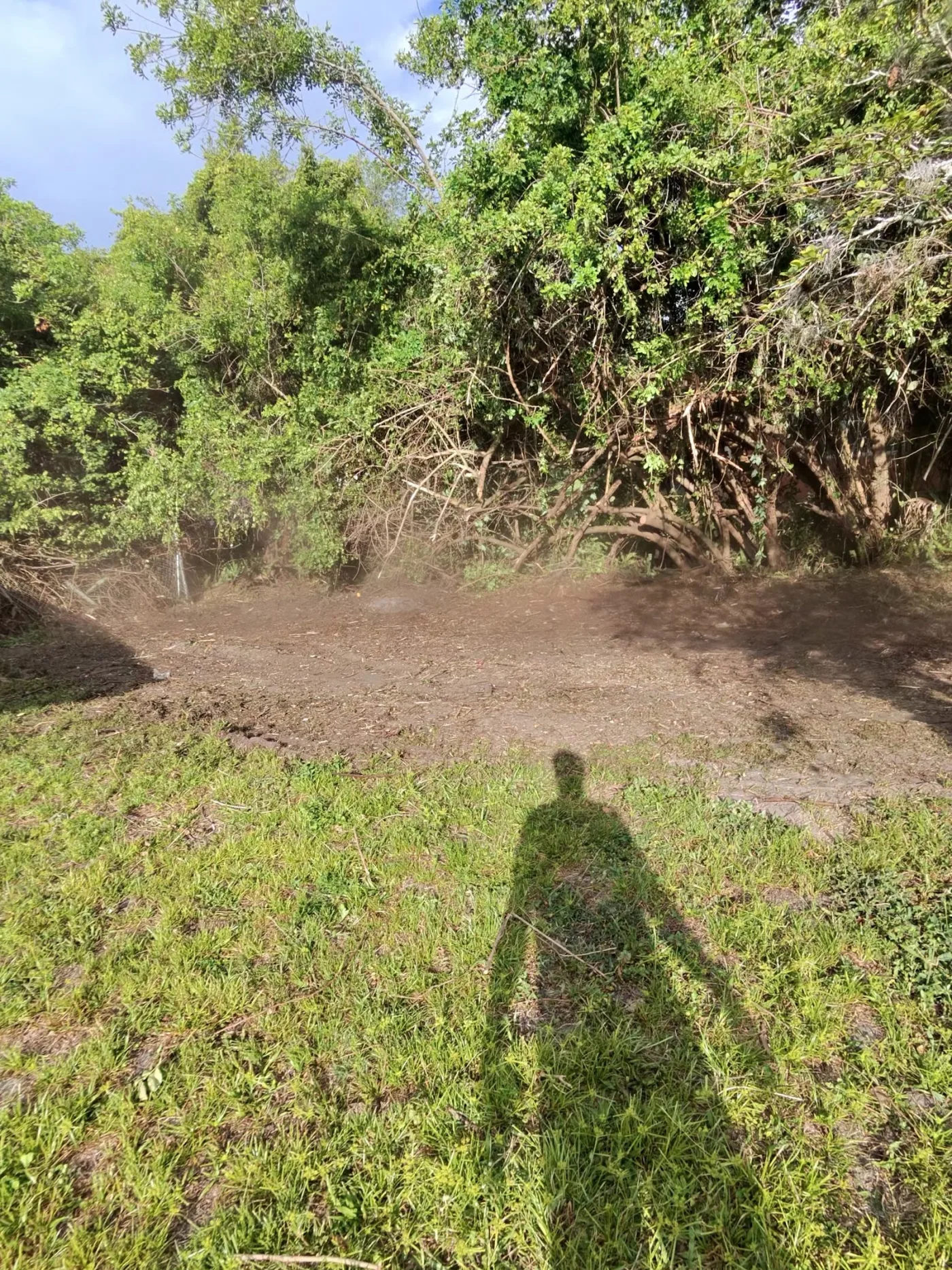 Dirt driveway freshly cut and graded beside a Florida home