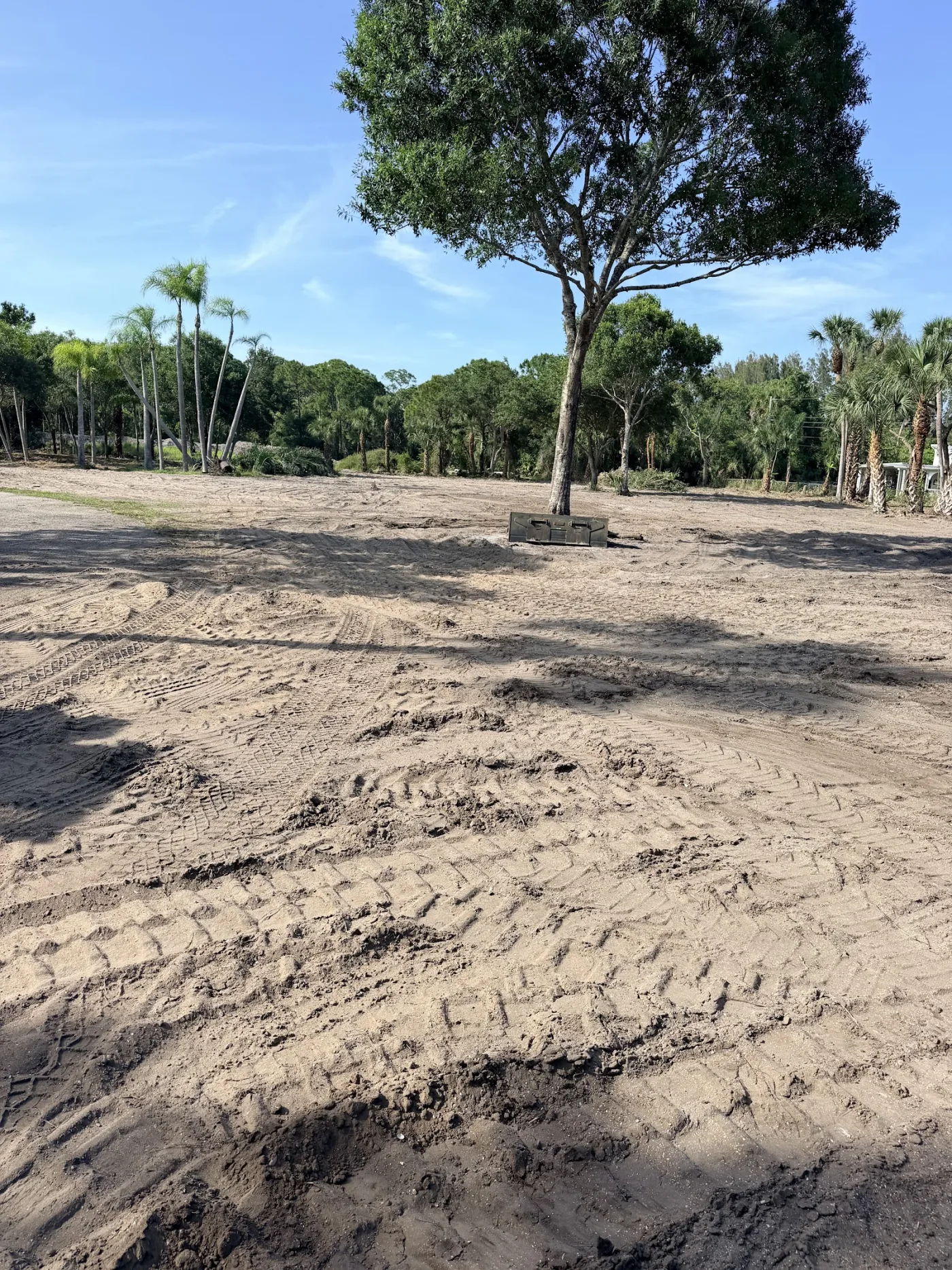 Sandy lot graded level around a mature keeper tree