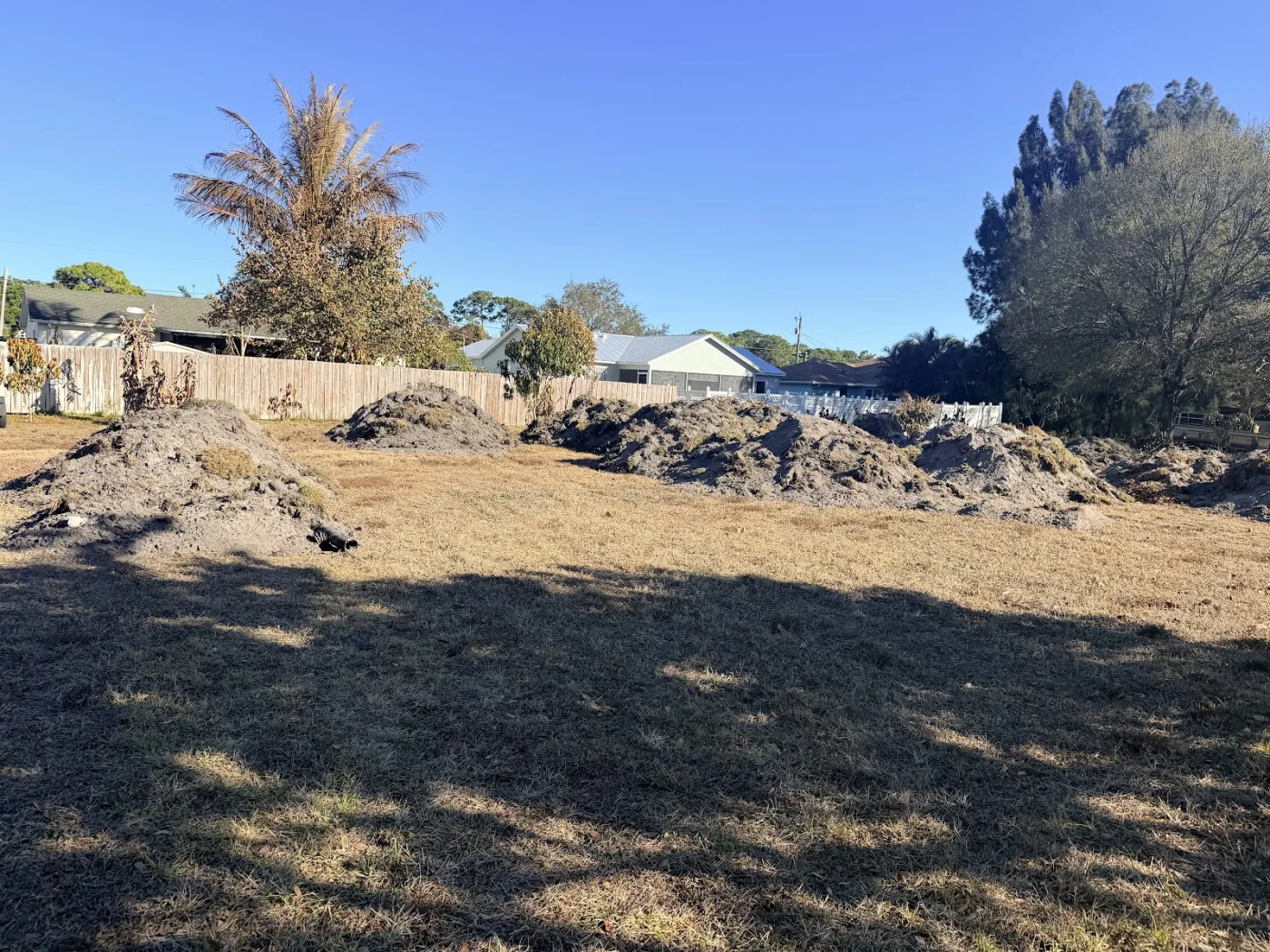 Overgrown Florida lot mid-clearing with brush piles ready to process