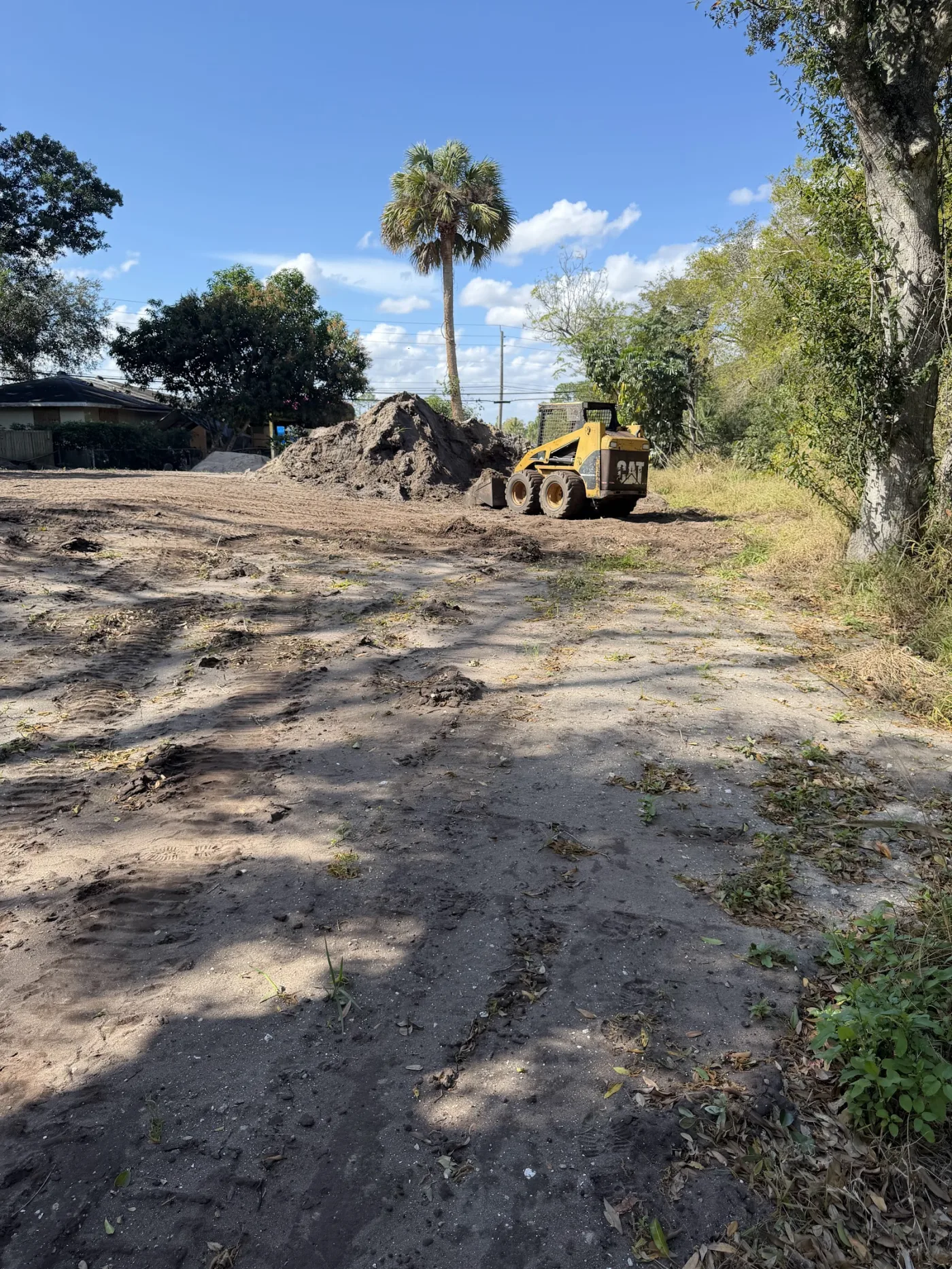 Machine working a lot among Florida palms