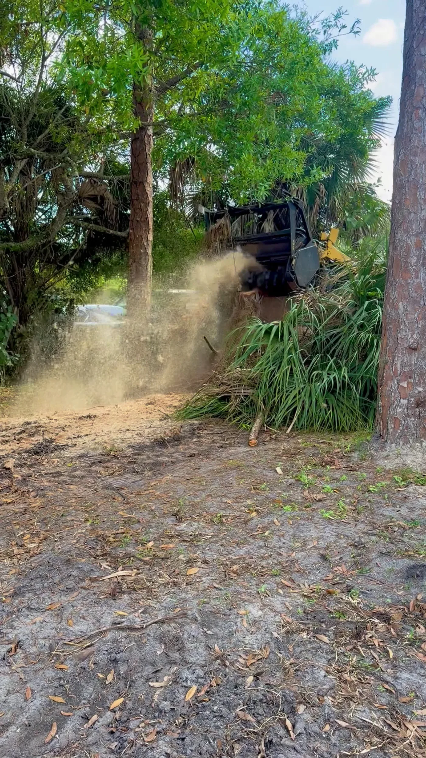 Forestry Mulching in Fort Pierce, FL
