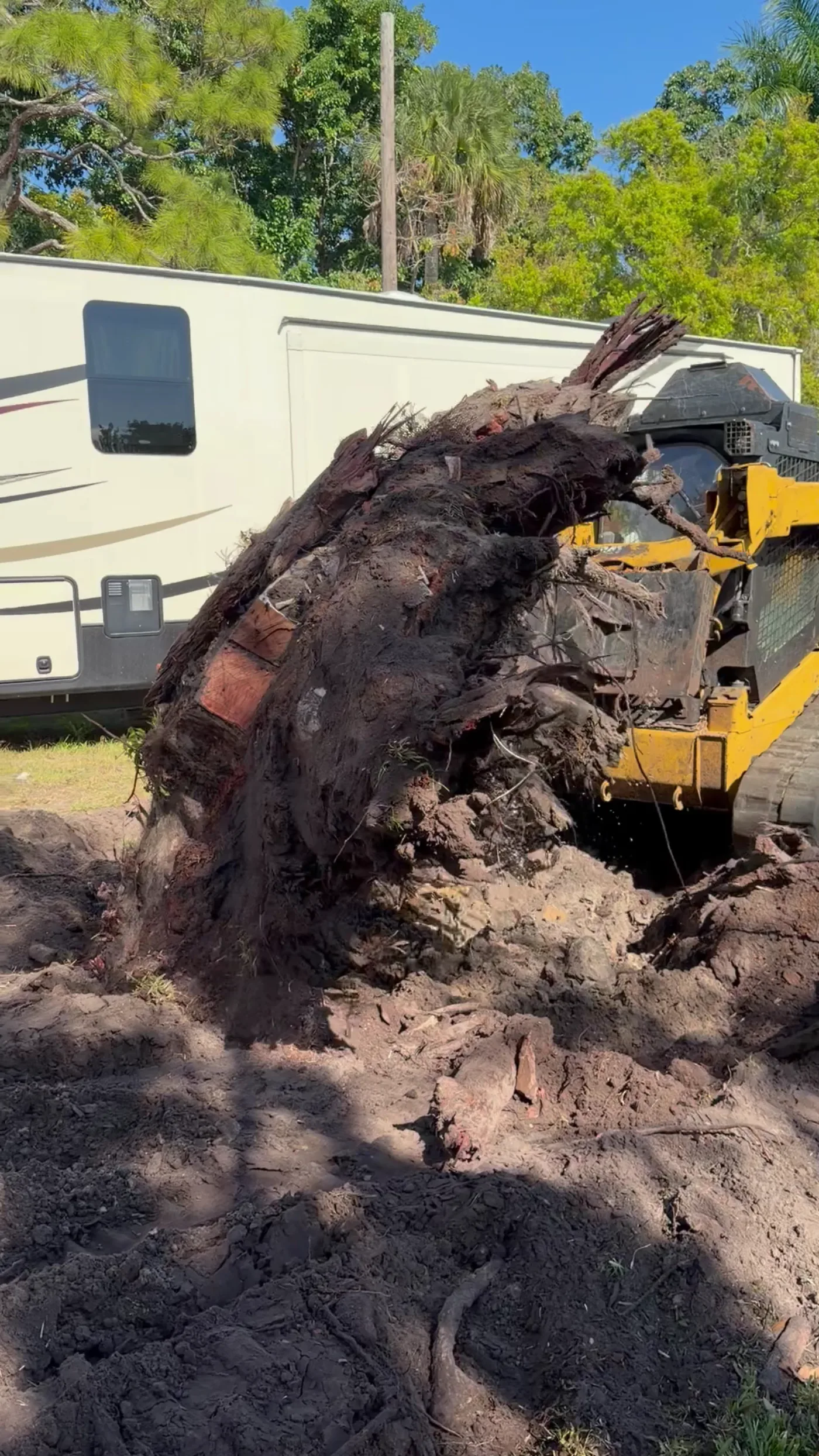 Working a stump and root pile at the edge of a clearing